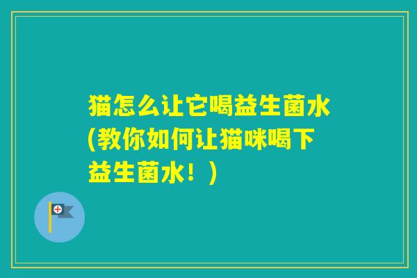 猫怎么让它喝益生菌水(教你如何让猫咪喝下益生菌水！)