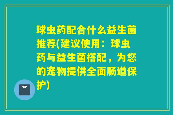 球虫药配合什么益生菌推荐(建议使用：球虫药与益生菌搭配，为您的宠物提供全面肠道保护)