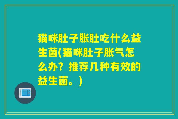 猫咪肚子胀肚吃什么益生菌(猫咪肚子怎么办？推荐几种有效的益生菌。)