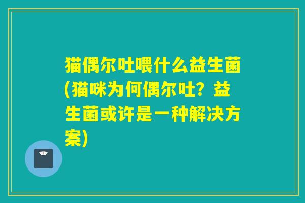 猫偶尔吐喂什么益生菌(猫咪为何偶尔吐？益生菌或许是一种解决方案)