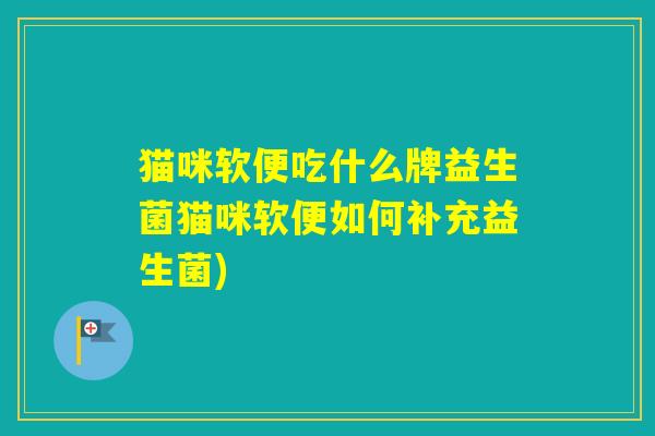 猫咪软便吃什么牌益生菌猫咪软便如何补充益生菌)