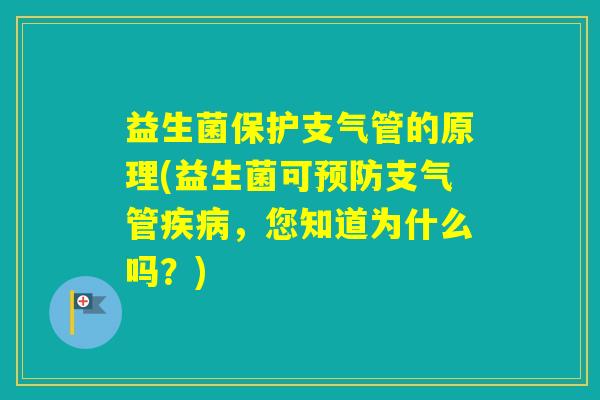 益生菌保护支气管的原理(益生菌可支气管,您知道为什么吗?) 益生菌保护支气管的原理(益生菌可支气管,您知道为什么吗?)