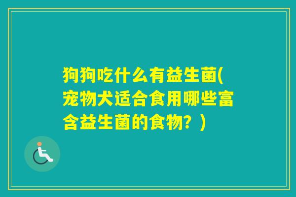 狗狗吃什么有益生菌(宠物犬适合食用哪些富含益生菌的食物？)