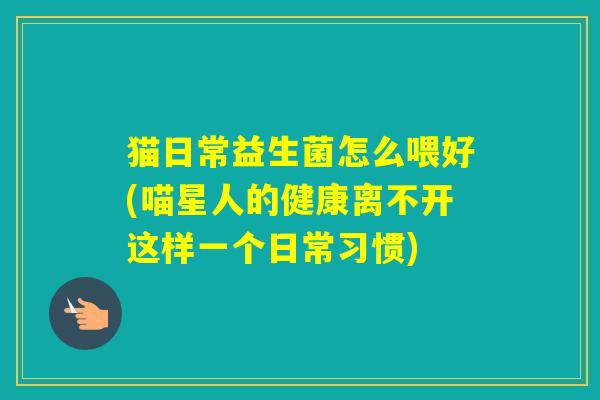 猫日常益生菌怎么喂好(喵星人的健康离不开这样一个日常习惯)