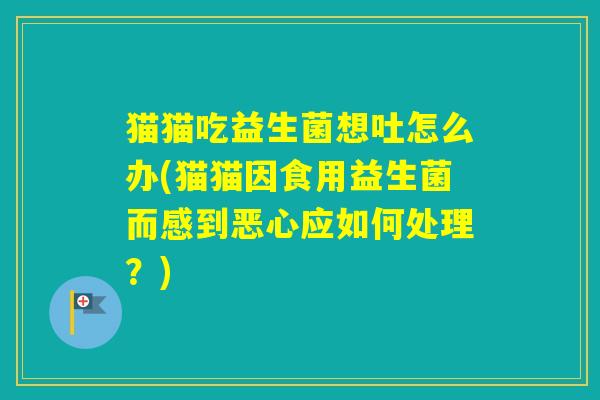 猫猫吃益生菌想吐怎么办(猫猫因食用益生菌而感到恶心应如何处理？)