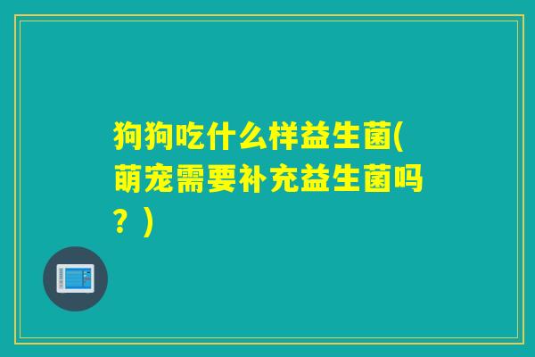 狗狗吃什么样益生菌(萌宠需要补充益生菌吗?) 狗狗吃什么样益生菌(萌宠需要补充益生菌吗?)