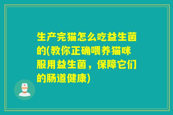 生产完猫怎么吃益生菌的(教你正确喂养猫咪服用益生菌，保障它们的肠道健康)