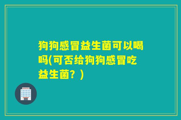 狗狗益生菌可以喝吗(可否给狗狗吃益生菌？)