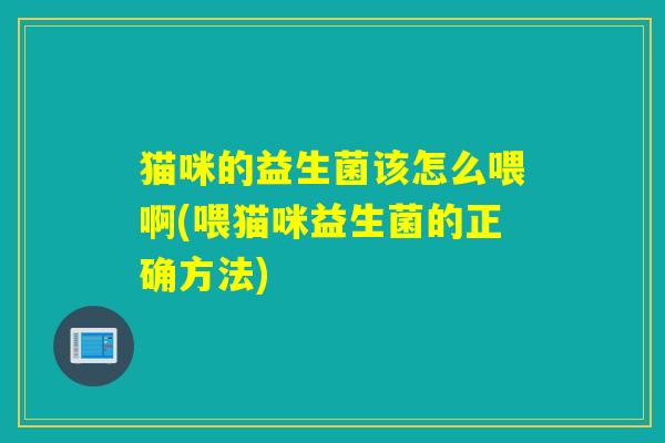 猫咪的益生菌该怎么喂啊(喂猫咪益生菌的正确方法)