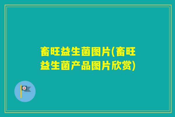 畜旺益生菌图片(畜旺益生菌产品图片欣赏)