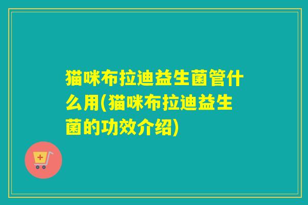 猫咪布拉迪益生菌管什么用(猫咪布拉迪益生菌的功效介绍)