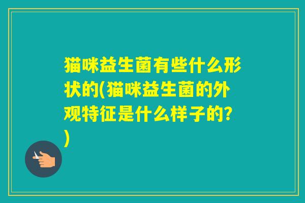 猫咪益生菌有些什么形状的(猫咪益生菌的外观特征是什么样子的？)
