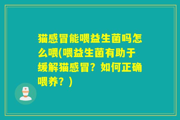 猫能喂益生菌吗怎么喂(喂益生菌有助于缓解猫？如何正确喂养？)