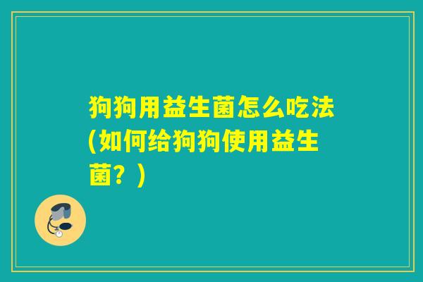 狗狗用益生菌怎么吃法(如何给狗狗使用益生菌？)