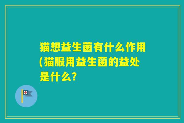 猫想益生菌有什么作用(猫服用益生菌的益处是什么？