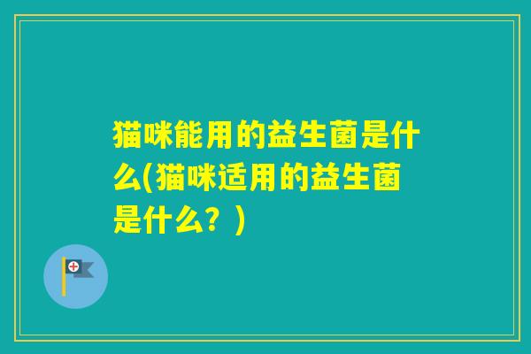 猫咪能用的益生菌是什么(猫咪适用的益生菌是什么?) 猫咪能用的益生菌是什么(猫咪适用的益生菌是什么?)