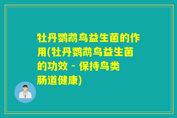 牡丹鹦鹉鸟益生菌的作用(牡丹鹦鹉鸟益生菌的功效 - 保持鸟类肠道健康)