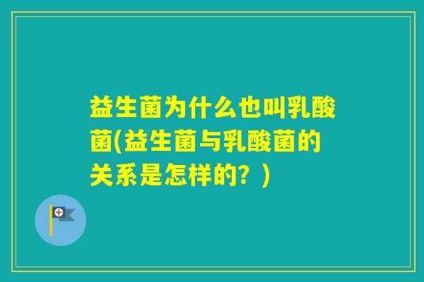 益生菌为什么也叫乳酸菌(益生菌与乳酸菌的关系是怎样的？)