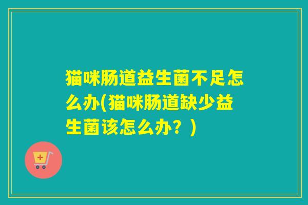 猫咪肠道益生菌不足怎么办(猫咪肠道缺少益生菌该怎么办？)