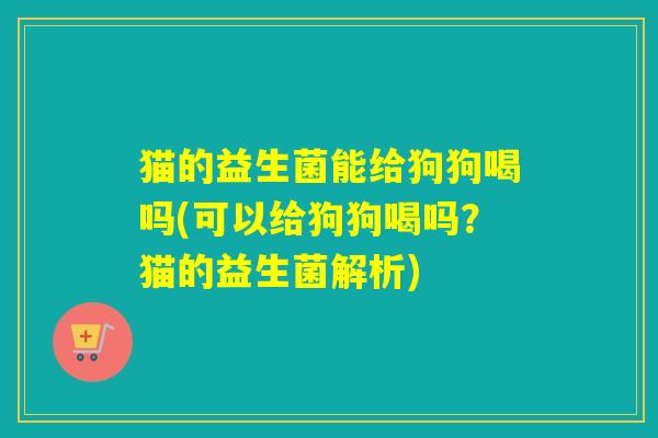猫的益生菌能给狗狗喝吗(可以给狗狗喝吗?猫的益生菌解析) 猫的益生菌能给狗狗喝吗(可以给狗狗喝吗?猫的益生菌解析)