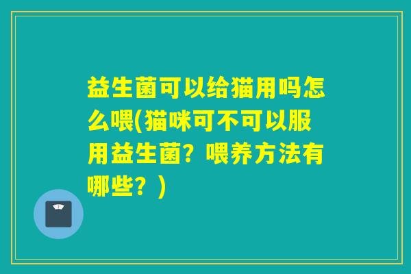 益生菌可以给猫用吗怎么喂(猫咪可不可以服用益生菌？喂养方法有哪些？)
