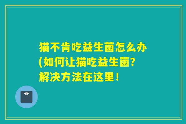 猫不肯吃益生菌怎么办(如何让猫吃益生菌？解决方法在这里！