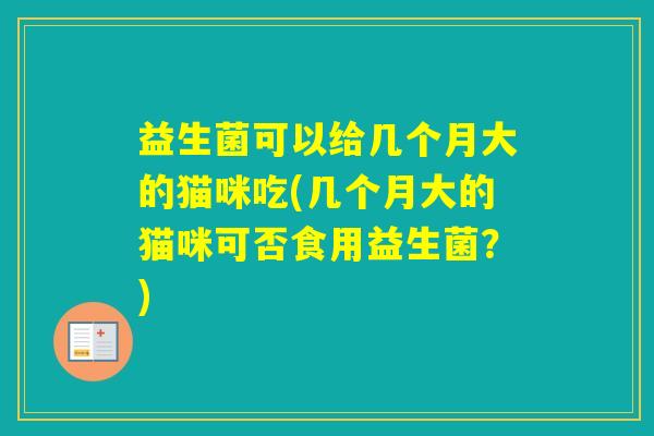 益生菌可以给几个月大的猫咪吃(几个月大的猫咪可否食用益生菌？)