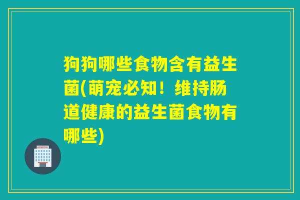 狗狗哪些食物含有益生菌(萌宠必知！维持肠道健康的益生菌食物有哪些)