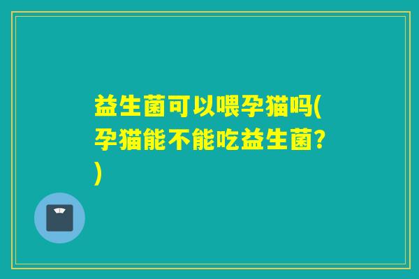 益生菌可以喂孕猫吗(孕猫能不能吃益生菌？)