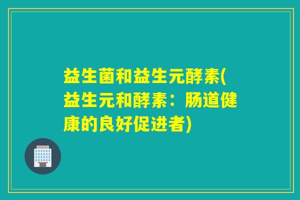 益生菌和益生元酵素(益生元和酵素：肠道健康的良好促进者)