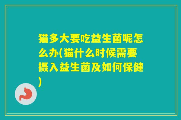 猫多大要吃益生菌呢怎么办(猫什么时候需要摄入益生菌及如何保健) 猫多大要吃益生菌呢怎么办(猫什么时候需要摄入益生菌及如何保健)