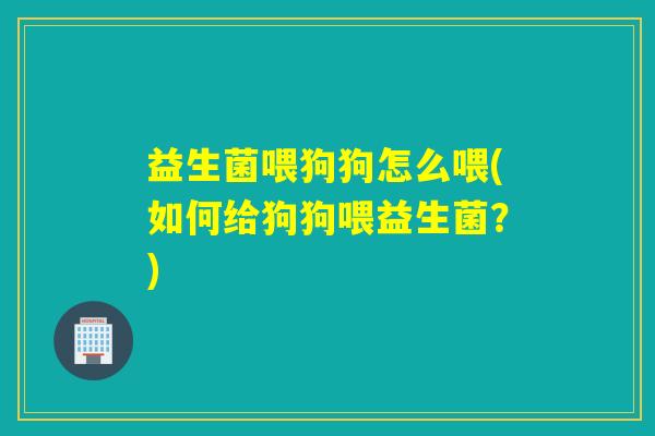 益生菌喂狗狗怎么喂(如何给狗狗喂益生菌？)