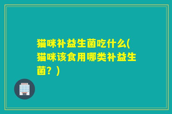 猫咪补益生菌吃什么(猫咪该食用哪类补益生菌?) 猫咪补益生菌吃什么(猫咪该食用哪类补益生菌?)