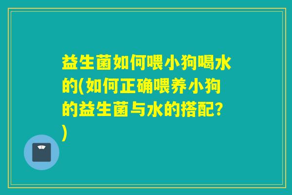益生菌如何喂小狗喝水的(如何正确喂养小狗的益生菌与水的搭配?) 益生菌如何喂小狗喝水的(如何正确喂养小狗的益生菌与水的搭配?)
