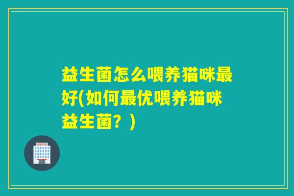 益生菌怎么喂养猫咪好(如何优喂养猫咪益生菌？)