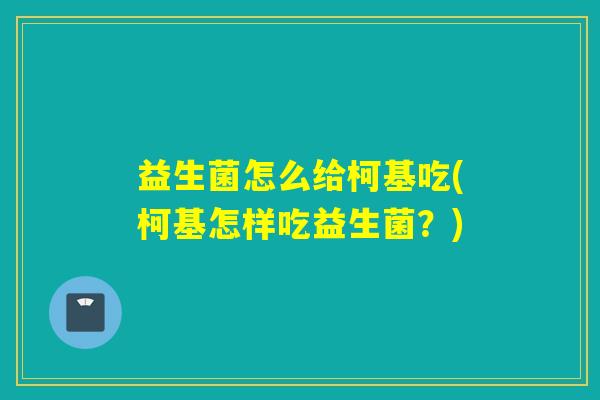 益生菌怎么给柯基吃(柯基怎样吃益生菌？)