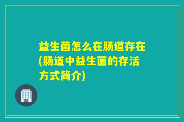 益生菌怎么在肠道存在(肠道中益生菌的存活方式简介) 益生菌怎么在肠道存在(肠道中益生菌的存活方式简介)