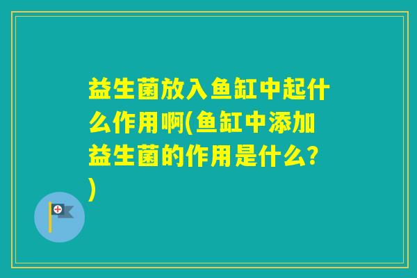 益生菌放入鱼缸中起什么作用啊(鱼缸中添加益生菌的作用是什么？)