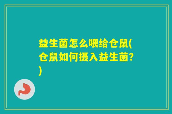 益生菌怎么喂给仓鼠(仓鼠如何摄入益生菌?) 益生菌怎么喂给仓鼠(仓鼠如何摄入益生菌?)