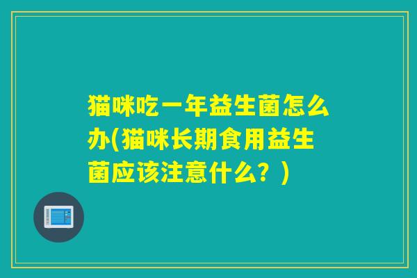 猫咪吃一年益生菌怎么办(猫咪长期食用益生菌应该注意什么？)