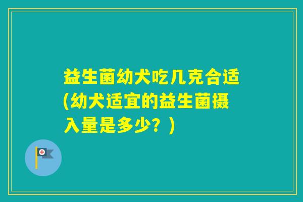 益生菌幼犬吃几克合适(幼犬适宜的益生菌摄入量是多少？)