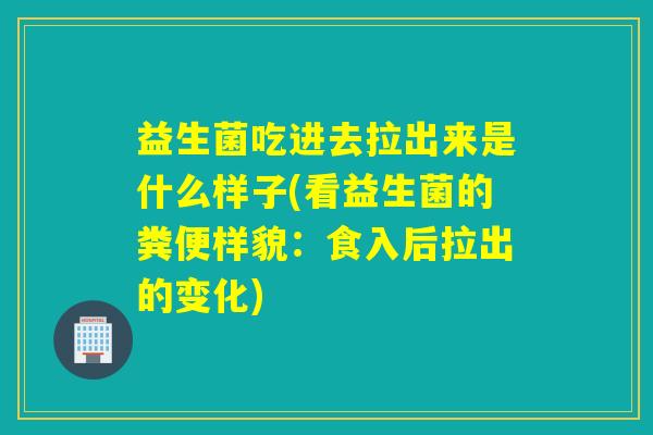 益生菌吃进去拉出来是什么样子(看益生菌的粪便样貌：食入后拉出的变化)
