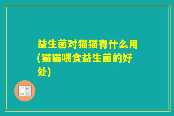 益生菌对猫猫有什么用(猫猫喂食益生菌的好处)