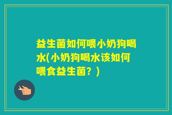 益生菌如何喂小奶狗喝水(小奶狗喝水该如何喂食益生菌?) 益生菌如何喂小奶狗喝水(小奶狗喝水该如何喂食益生菌?)
