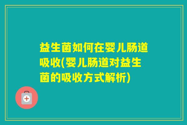 益生菌如何在婴儿肠道吸收(婴儿肠道对益生菌的吸收方式解析) 益生菌如何在婴儿肠道吸收(婴儿肠道对益生菌的吸收方式解析)
