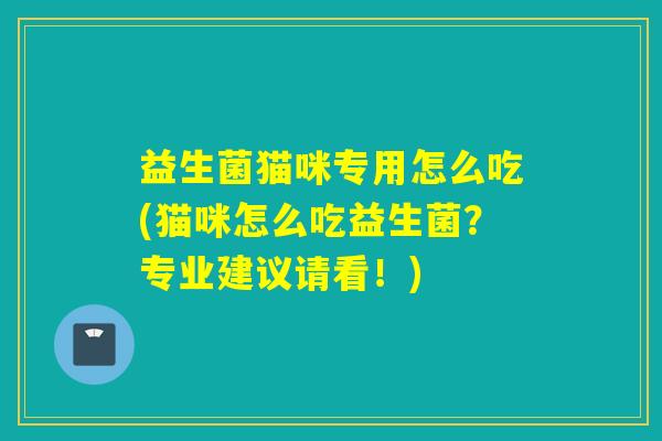 益生菌猫咪专用怎么吃(猫咪怎么吃益生菌?专业建议请看!) 益生菌猫咪专用怎么吃(猫咪怎么吃益生菌?专业建议请看!)