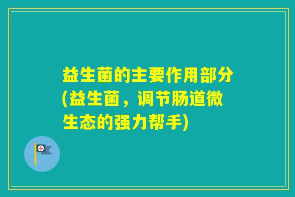 益生菌的主要作用部分(益生菌，调节肠道微生态的强力帮手)