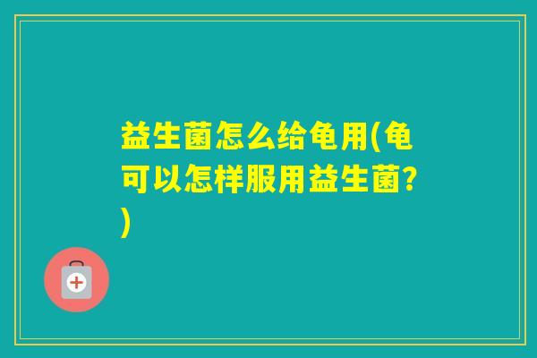 益生菌怎么给龟用(龟可以怎样服用益生菌?) 益生菌怎么给龟用(龟可以怎样服用益生菌?)
