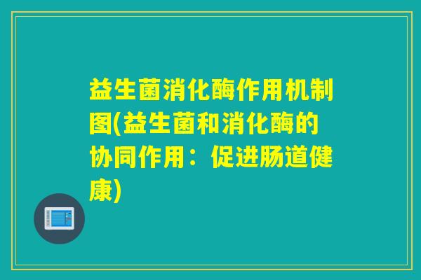 益生菌消化酶作用机制图(益生菌和消化酶的协同作用：促进肠道健康)