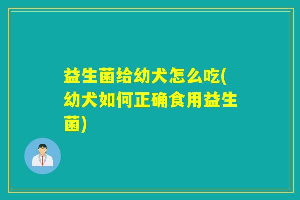 益生菌给幼犬怎么吃(幼犬如何正确食用益生菌)